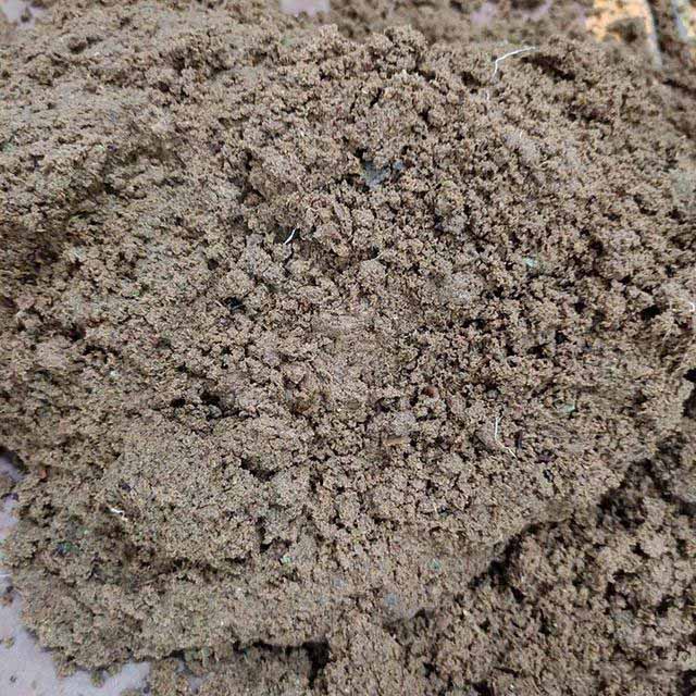 处理后的污泥 处理后的污泥