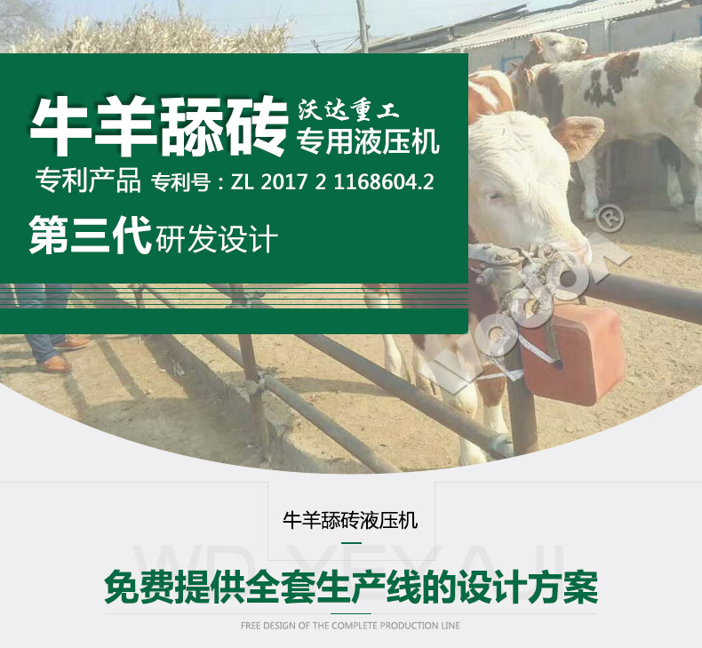 牛羊舔砖专用液压机 牛羊舔砖专用液压机