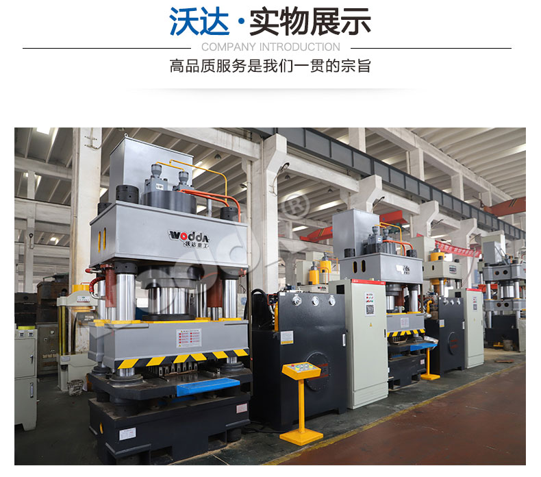 鱼饵压块成型液压机 鱼饵压块成型液压机